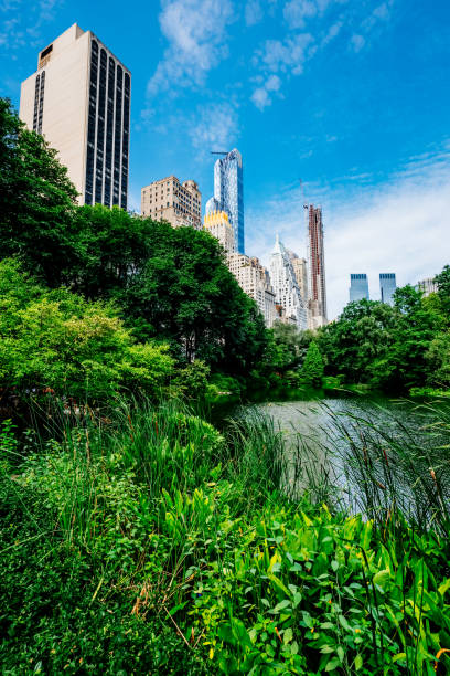 istock Central Park, south side, Manhattan, USA 831345230