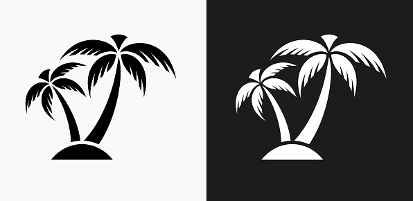 Palm Tree Icon on Black and White Vector Backgrounds. This vector illustration includes two variations of the icon one in black on a light background on the left and another version in white on a dark background positioned on the right. The vector icon is simple yet elegant and can be used in a variety of ways including website or mobile application icon. This royalty free image is 100% vector based and all design elements can be scaled to any size.