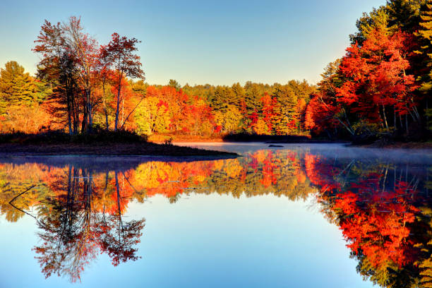 outono na nova hampshire  - autumn falling leaf new england - fotografias e filmes do acervo