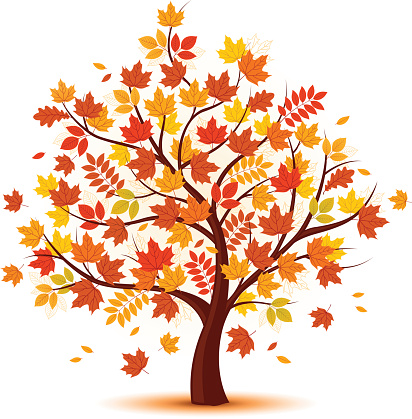 Vector autumn tree design