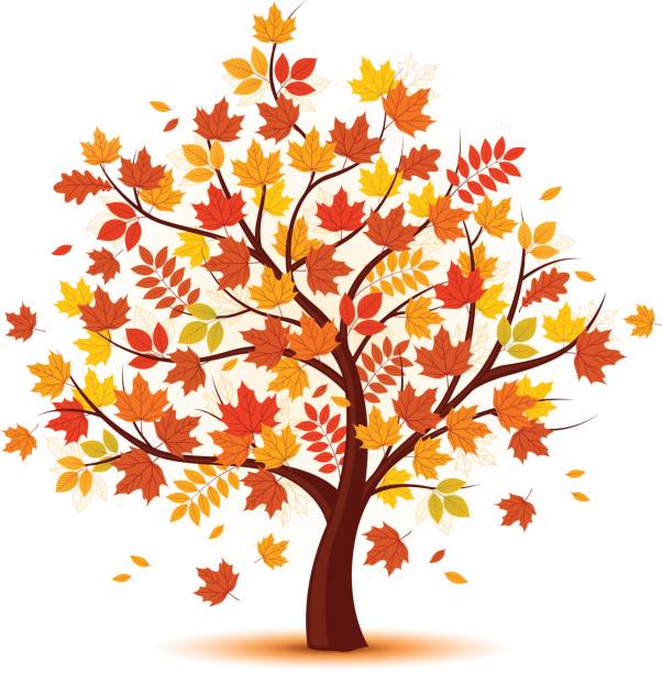 195,000+ A Tree In The Fall Illustrations, Royalty-Free Vector Graphics ...