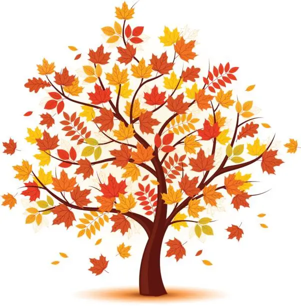 Vector illustration of Vector autumn tree design