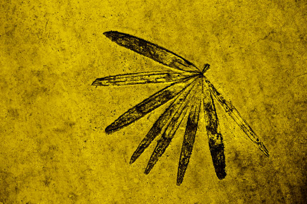 Yellow or gold with black color texture pattern abstract background can be use as wall paper screen saver brochure cover page or for presentation background also have copy space for text.