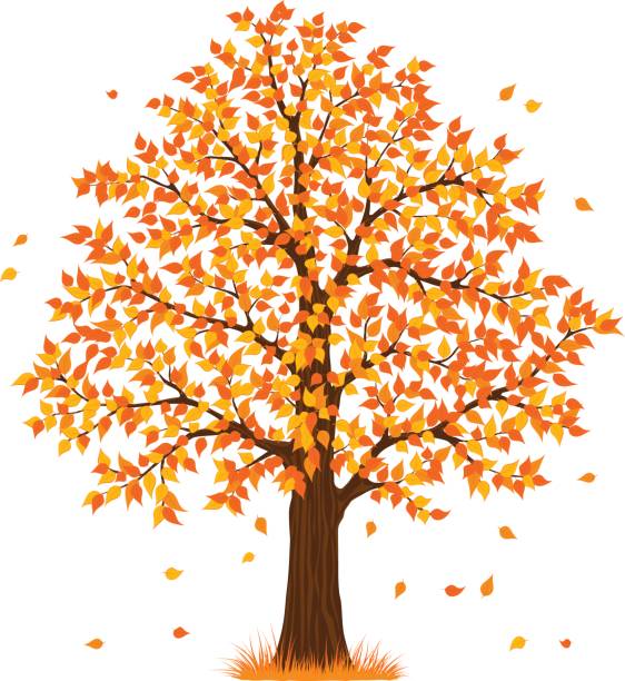 222,000+ Fall Trees Illustrations, Royalty-Free Vector Graphics & Clip Art  - iStock | Fall trees line, Fall trees background, Tree