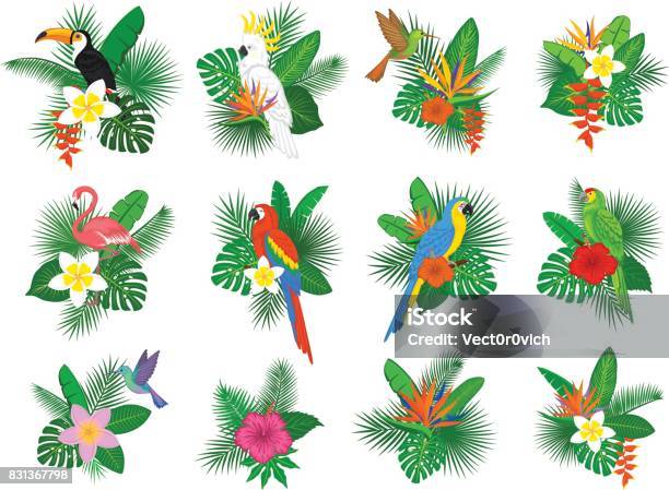 Tropical Plants Leaves Flower Arrangements With Flamingo Parrots Toco Toucan Hummingbird Hibiscus Strelitzia Frangipani Heliconia Stock Illustration - Download Image Now
