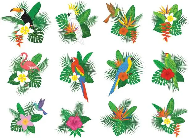 Vector illustration of tropical plants leaves flower arrangements with flamingo, parrots, toco toucan,hummingbird, hibiscus, strelitzia, frangipani, heliconia