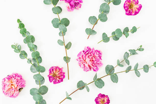 istock Floral pattern made of rose flowers and eucalyptus on white background. Flat lay, top view 831371786
