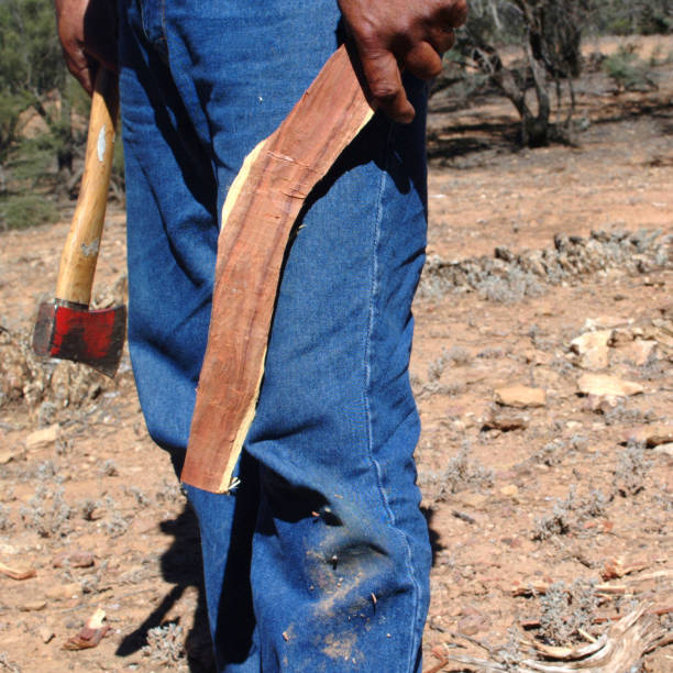 flinders rangers national park, austrália - australia boomerang aboriginal aborigine - fotografias e filmes do acervo
