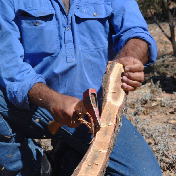 flinders rangers national park, austrália - australia boomerang aboriginal aborigine - fotografias e filmes do acervo