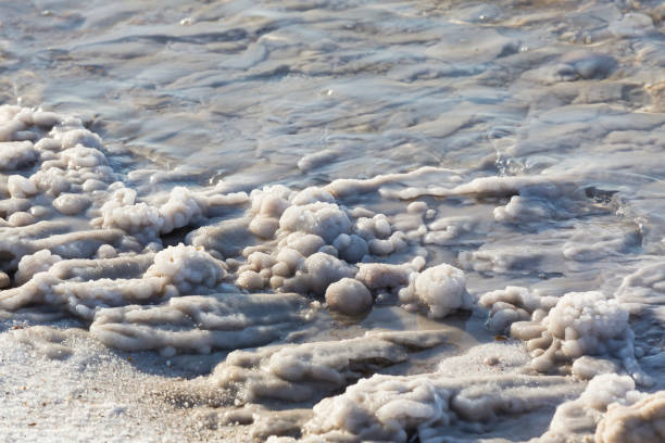 istock Dead Sea salt deposits stones 831372664