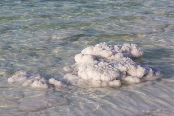 istock Dead Sea salt deposits stones 831372762