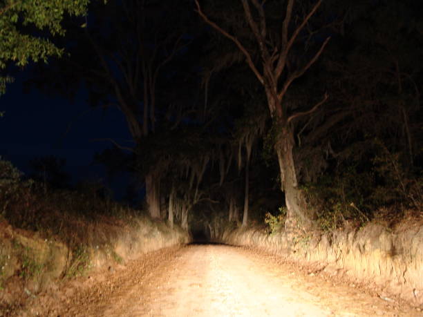 istock Night time drive down historic 1824 Old St Augustine Road 831374940