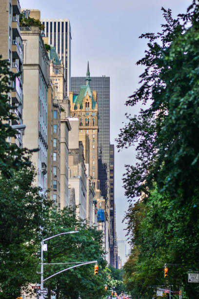 istock New york skyscrapers framed by nature 831375920