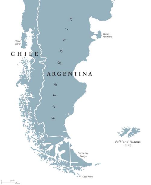 ilustrações de stock, clip art, desenhos animados e ícones de patagonia and falkland islands political map - argentina map chile cartography