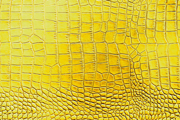 istock Yellow or gold with black color texture pattern abstract background can be use as wall paper screen saver brochure cover page or for presentation background also have copy space for text. 831383204