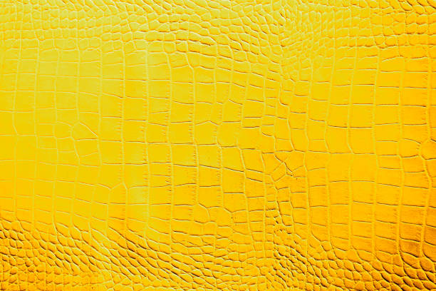 istock Yellow or gold with black color texture pattern abstract background can be use as wall paper screen saver brochure cover page or for presentation background also have copy space for text. 831383216