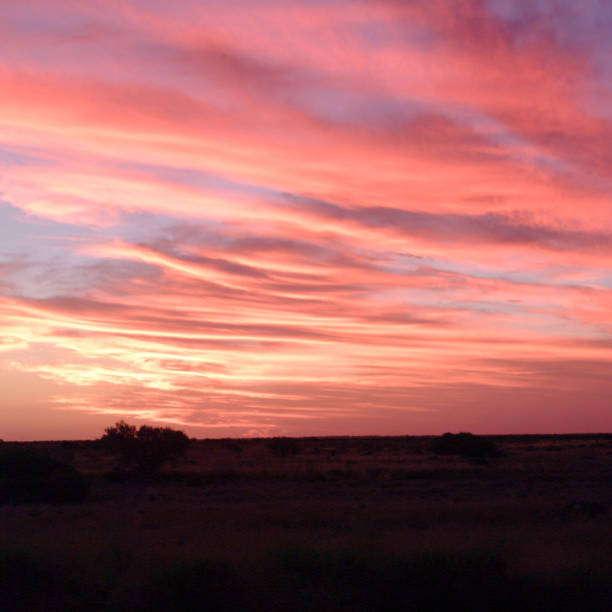 istock Flinders Rangers National Park, Australia 831383222