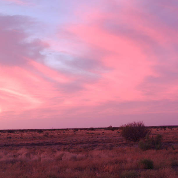 istock Flinders Rangers National Park, Australia 831383236