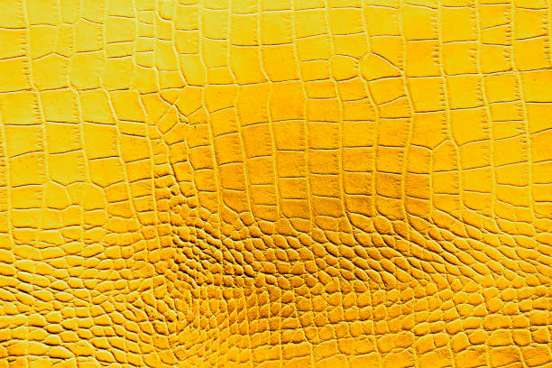 istock Yellow or gold with black color texture pattern abstract background can be use as wall paper screen saver brochure cover page or for presentation background also have copy space for text. 831383522