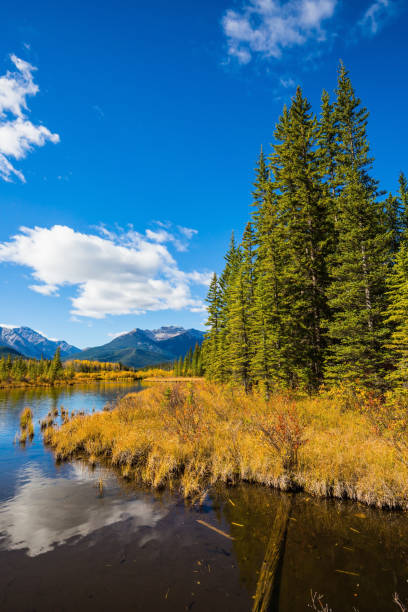 istock The day in the Rocky Mountains 831386432