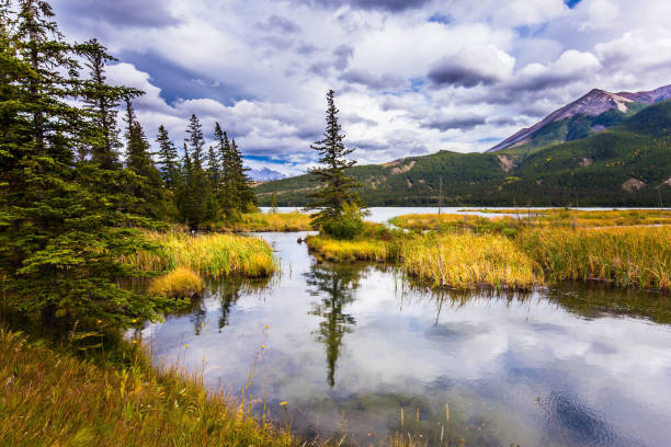istock The smooth water of the lake 831386530