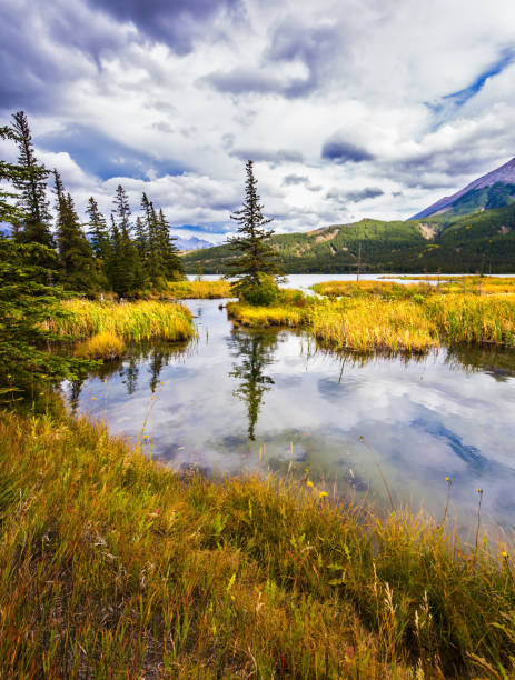 istock The cloudy sky is reflected in the lake 831386534