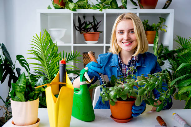 istock Florist at work in greenhouse 831391048