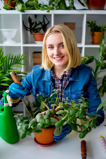 istock Florist at work in greenhouse 831391116