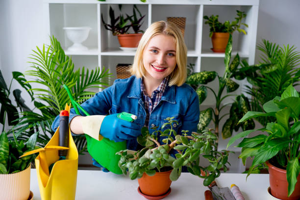istock Florist at work in greenhouse 831391144