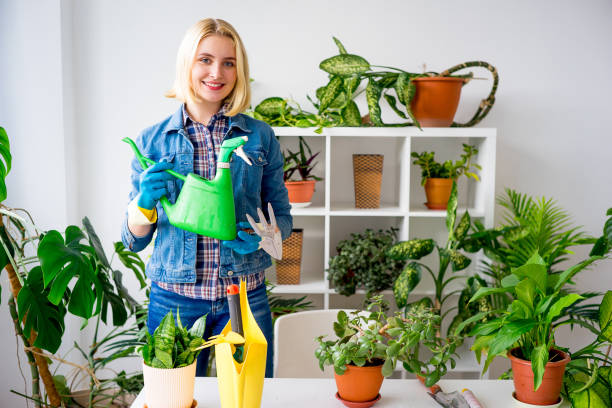 istock Florist at work in greenhouse 831393396