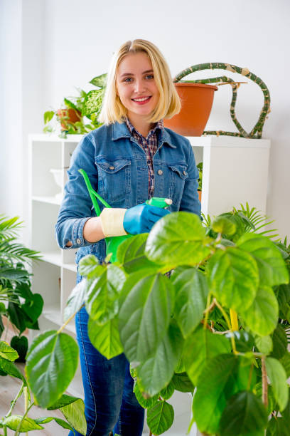 istock Florist at work in greenhouse 831393534