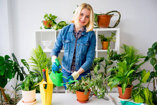 istock Florist at work in greenhouse 831393758