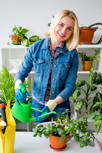 istock Florist at work in greenhouse 831393812