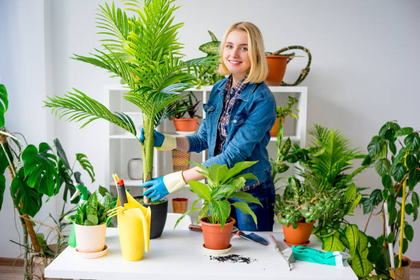 istock Florist at work in greenhouse 831394000