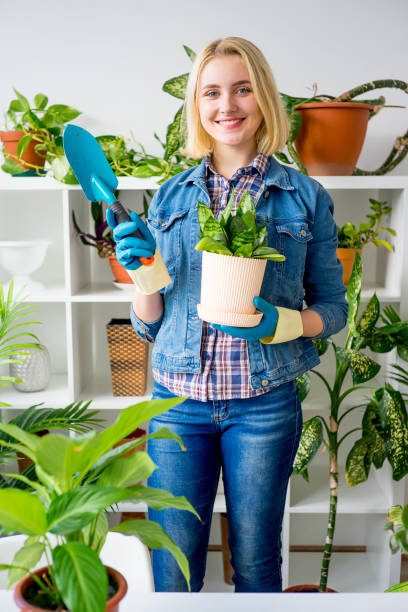 istock Florist at work in greenhouse 831394048
