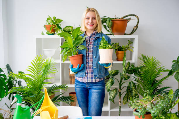 istock Female florist working 831394098