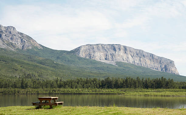 picnic table near remote river shore - 西北地區 個照片及圖片檔