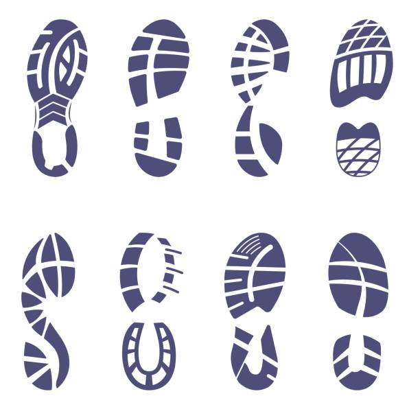 набор протектора кроссовок - спортивный ботинок stock illustrations