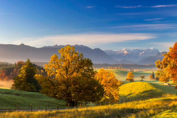 istock Indian at Murnauer Moos with Zugspitze in Background 831411326