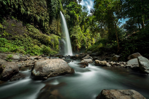 istock Sendang Gile waterfall is a stunning waterfall on Lombok. 831411546