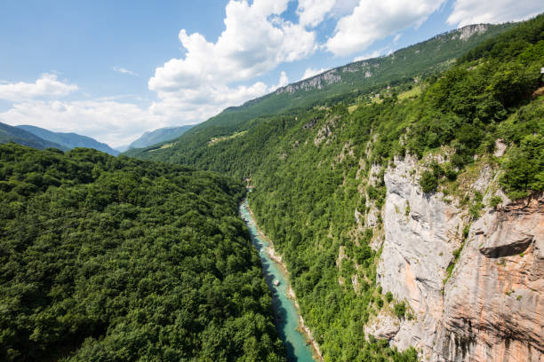istock Tara gorge Durmitor National Park Montenegro 831412430