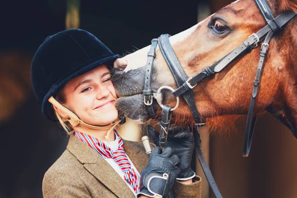 istock Bond between horse and rider 831412552