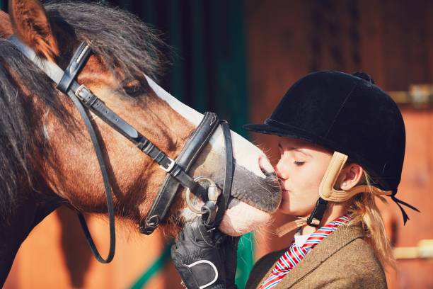 istock Bond between horse and rider 831414684