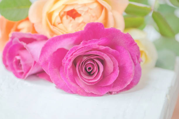 istock Bouquet of roses on wooden table 831415806