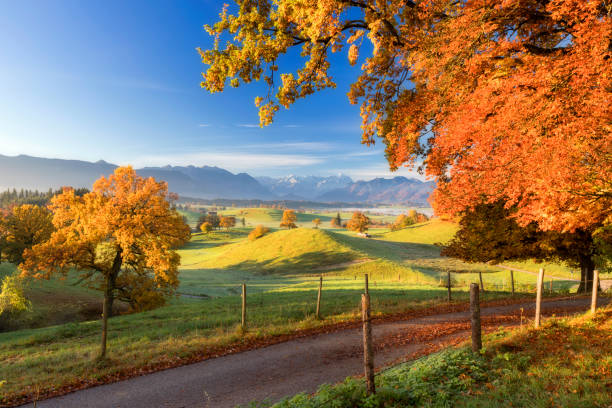 istock Indian Summer at Murnauer Moos with Zugspitze in Background 831415900