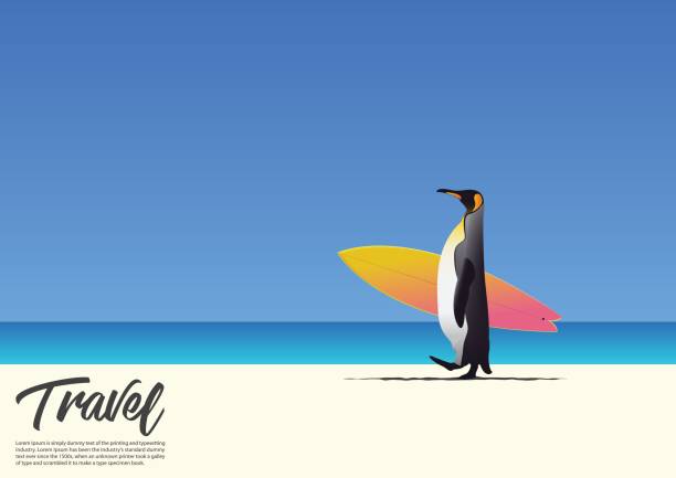 ilustrações, clipart, desenhos animados e ícones de pinguim com prancha e correndo na praia de areia branca, nas férias de verão. fundo de céu azul degradê com espaço de cópia para o seu texto.  vector - tourist running travel people traveling