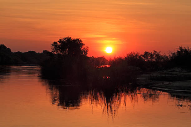 istock Sunset over the Zambezi river 831423970