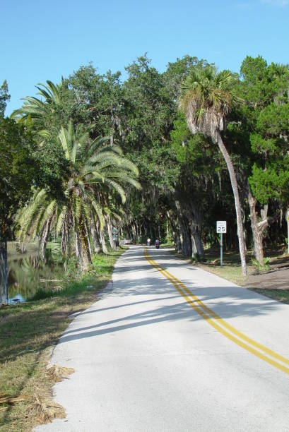istock Scenic palm tree lined coastal road in East Florida 831429744