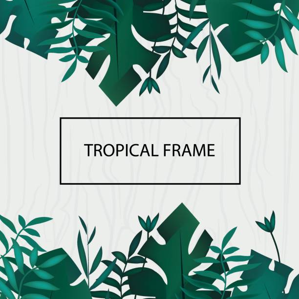 istock Tropic banner. Design template. Tropical frame. Exotic leaves frame with blank space on wooden background. Advertisement, flyer 831429930