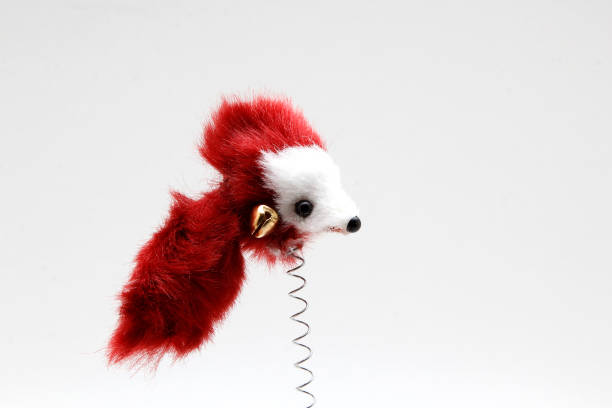 istock Cat toy with feathers on a white background 831433188